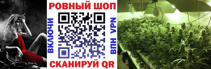 Где купить наркотики Куса АМФ  Меф мяу мяу  APVP  ГАШИШ  Бошки Шишки 