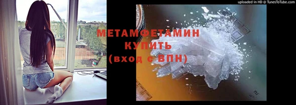 PSILOCYBIN Майский