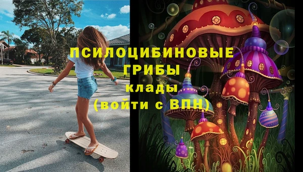 ECSTASY Магас