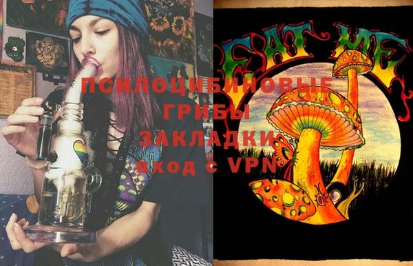 PSILOCYBIN Майский