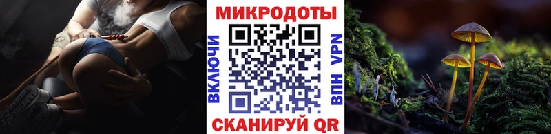 Галлюциногенные грибы прущие грибы  наркота  Куса 