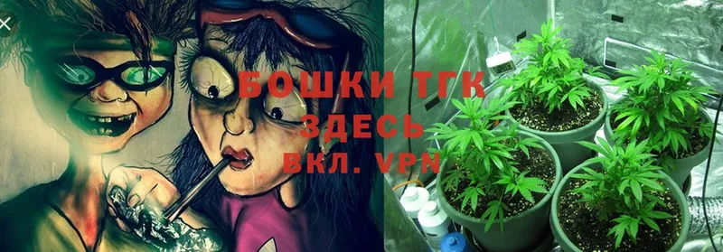 Конопля Bruce Banner  MEGA ТОР  Куса 