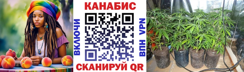 Бошки Шишки планчик  наркотики  Куса 